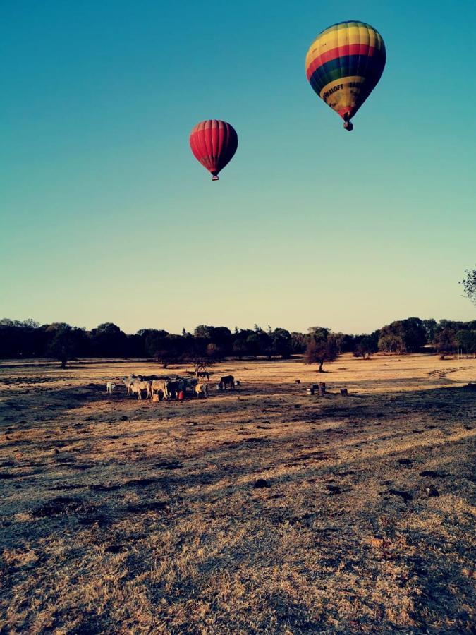 Kromdraai Guest Rooms Krugersdorp Dış mekan fotoğraf